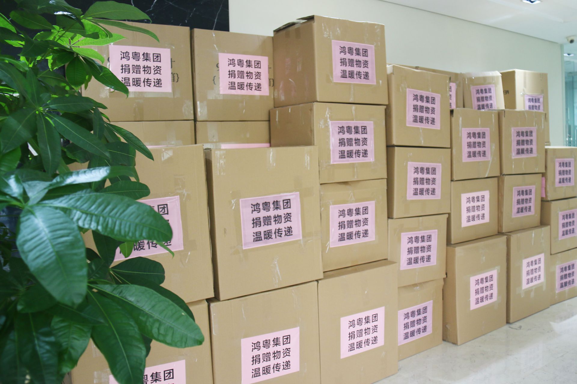 博业体育平台登录官网(中国)官方网站公益回顾丨家国同欢月同圆 温暖满载甘孜州(图1) 博业体育平台登录官网(中国)官方网站公益回顾丨家国同欢月同圆 温暖满载甘孜州(图1)